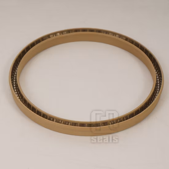 Strong Pressure Resistance Spring Energized Seal PTFE O Ring Seals