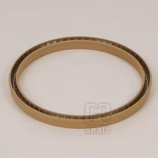 Strong Pressure Resistance Spring Energized Seal PTFE O Ring Seals