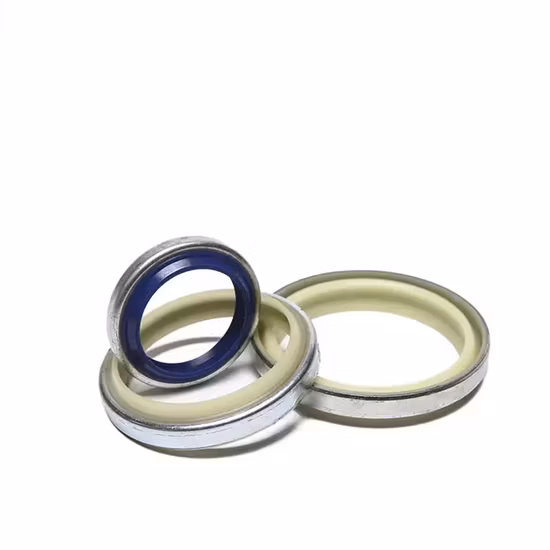 Heiße Verkaufs-Rotationswellen-Gleitringdichtung NBR/FKM-Gummi Tc Tg-Typ Skelettöldichtung