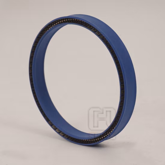 Starke Druckfestigkeit, federunterstützte Dichtung, PTFE-O-Ring-Dichtungen